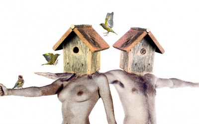 Exposición ‘Casas para pájaros’ en el CC Loiola