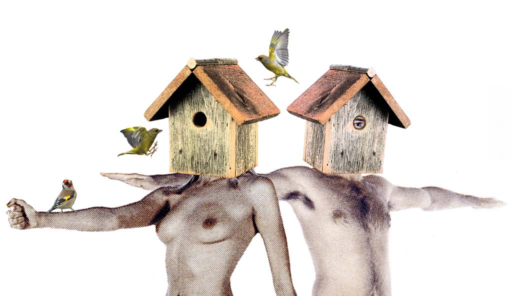 Exposición ‘Casas para pájaros’ en el CC Loiola