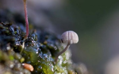 Sofia Arostegi en Foto Forum de Hernani