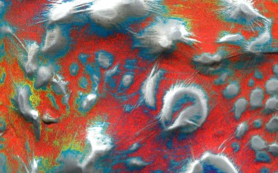 Exposición de Santi Bosch en Vía Fora