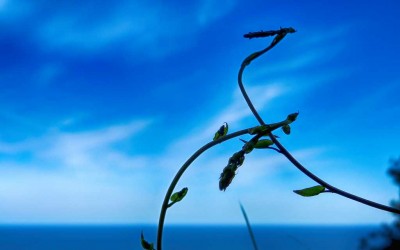 Eneko Etxebeste en Vía Fora