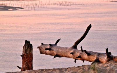 Eneko Etxebeste en librería Re-Read