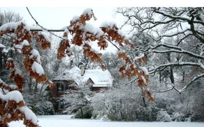 Joachim Geffers, fotografías en Dadá