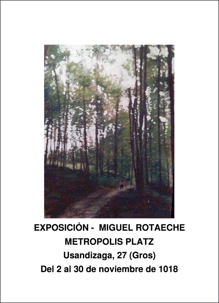 Mikel Rotaaeche exposicion Metropolis platz Donostia