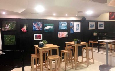 Exposiciones de socios enero 2019