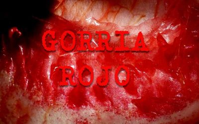 GORRIA – ROJO! La exposición