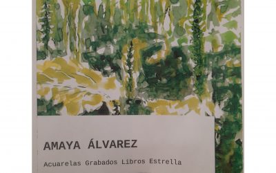 Amaya Alvarez Pasaban. Re read