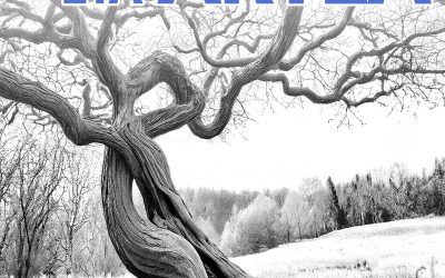 Aitor Alvarez – Inteligencia Artificial y Arte